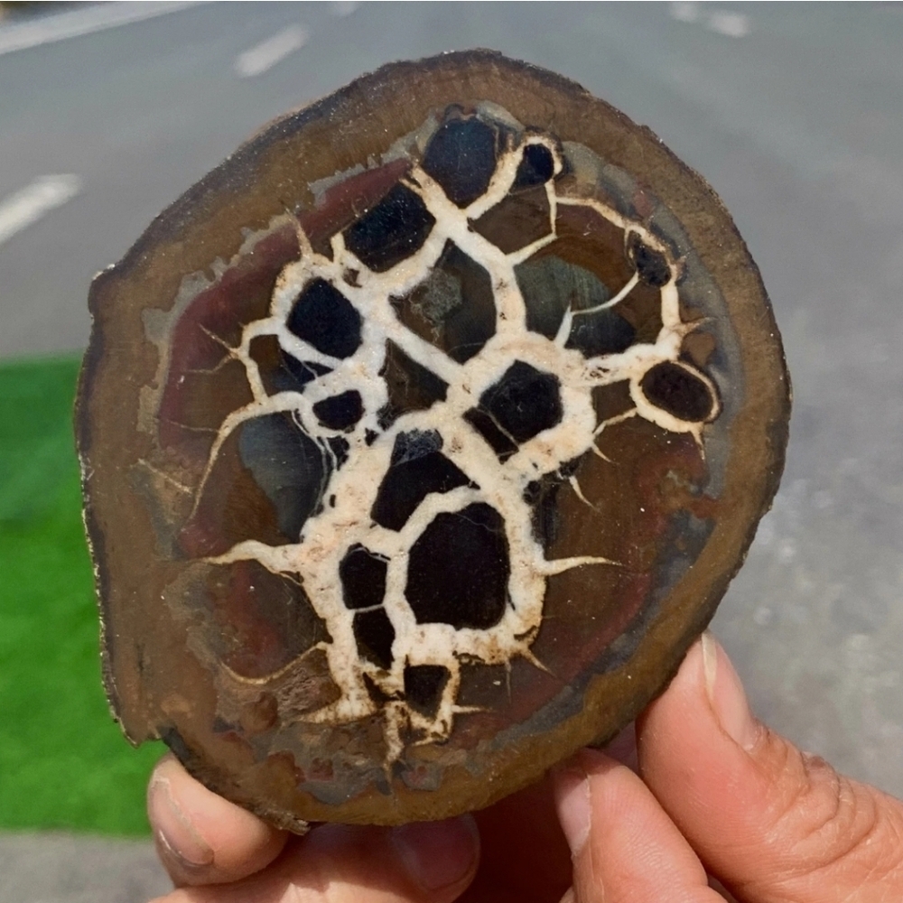 208G Natural Moroccan Septarian Dragon Stone Crystal Mineral Raw Slab With Stand